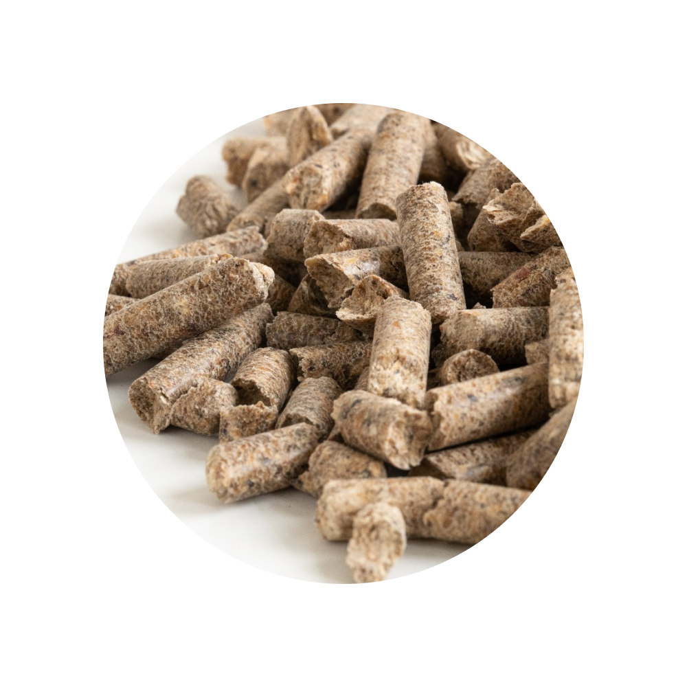 BIOPELLET-PREMIUM-granulles.png